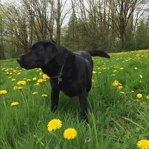 Meet your Posher, Jess